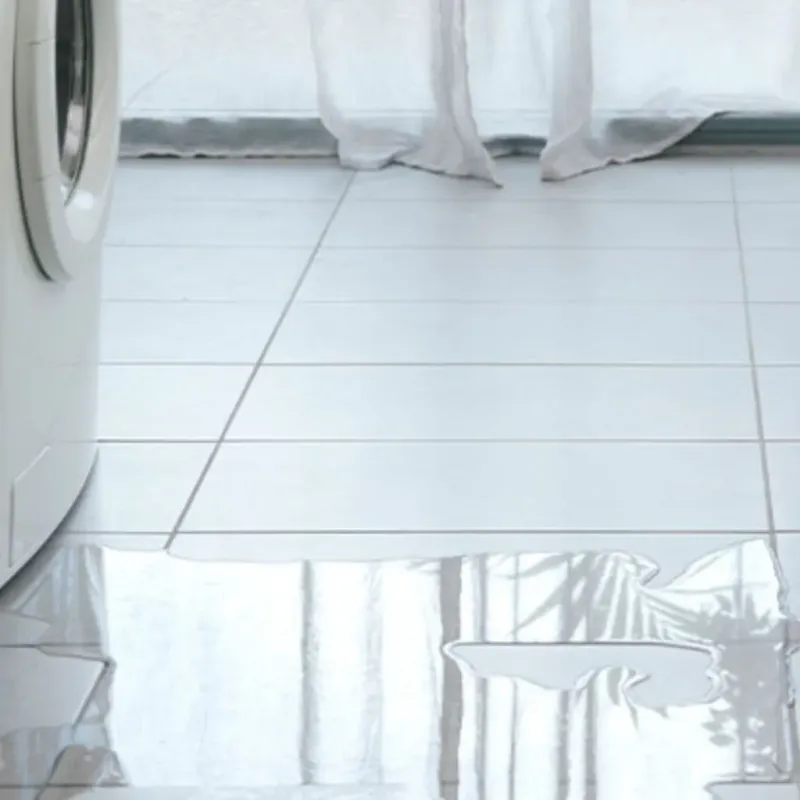 Appliance Leak Cleanup in Biggs, CA